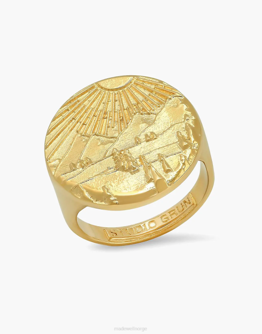 Madewell smykker gull kvinner studio grun skog signetring 260F1542