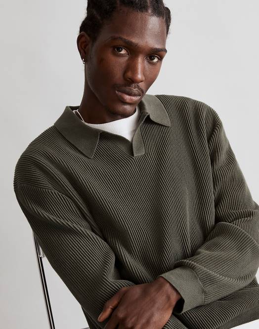 Madewell klær eikenøtt menn johnny-krage langermet genser polo 260F228