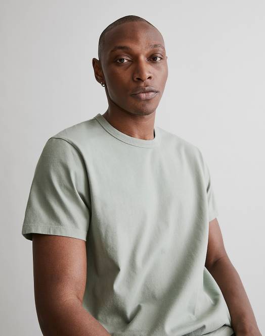 Madewell klær porøs grå menn plaggfarget heldags-t-skjorte med rund hals 260F366